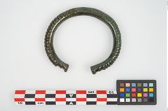 Foto von Bronzearmreif (NHMW-PRAE-025831)